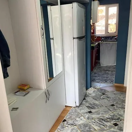 Bird * Provincia di Istanbul