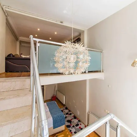 Bird Provincia di Istanbul