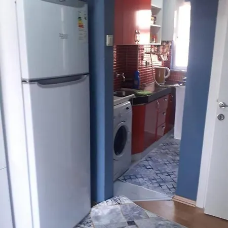 Bird Apartment