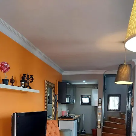 Bird Apartment