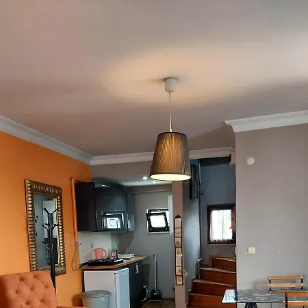 Apartment Bird