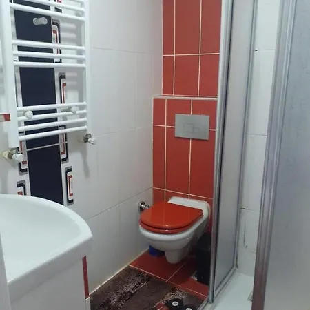 Apartman Bird